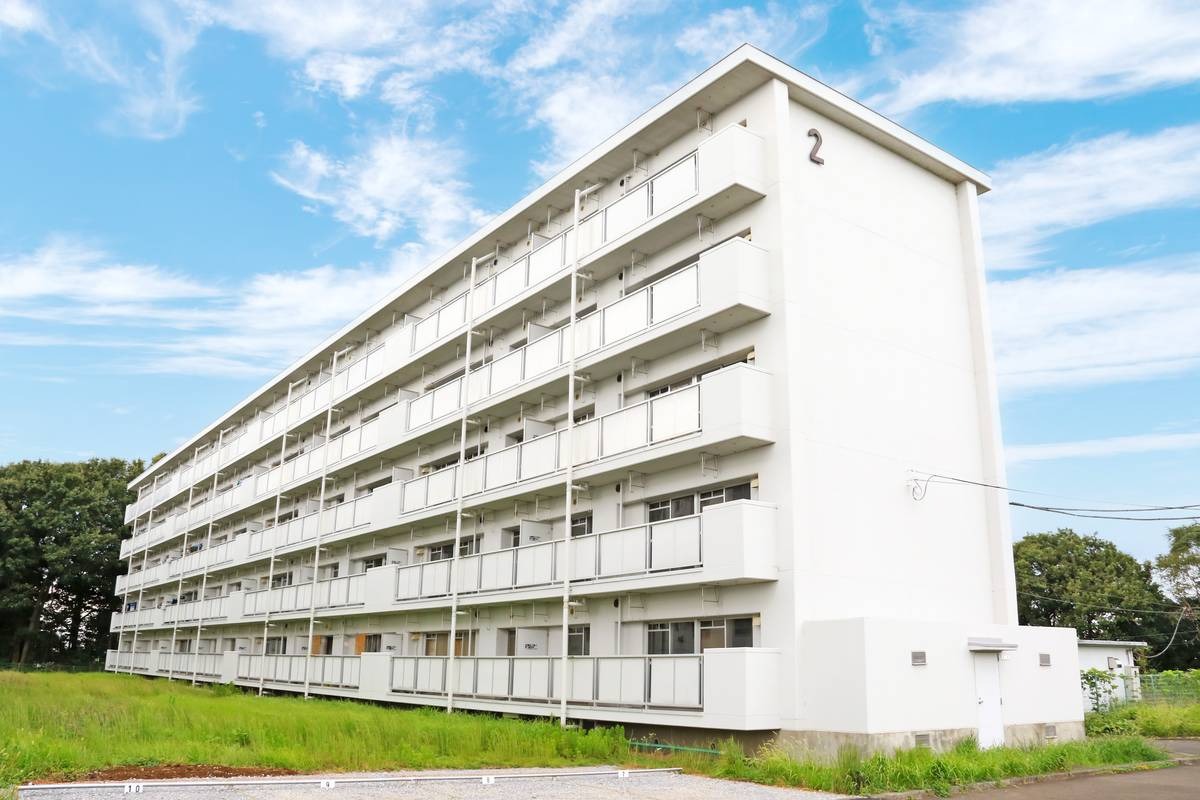 茨城県下妻市 黒駒