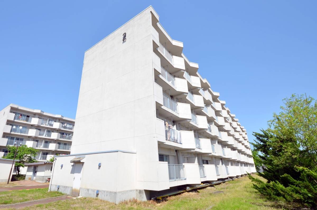 新潟県小千谷市 若葉