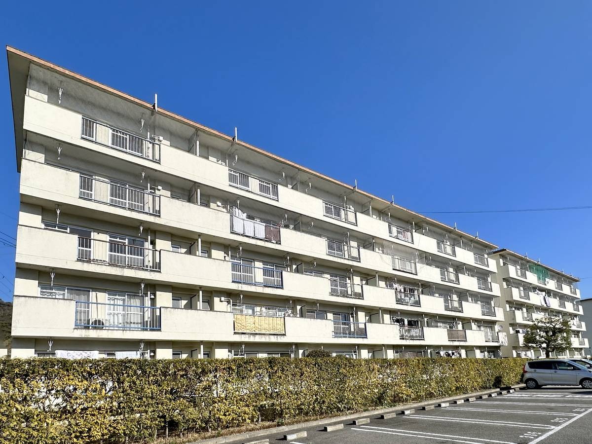 和歌山県和歌山市 善明寺